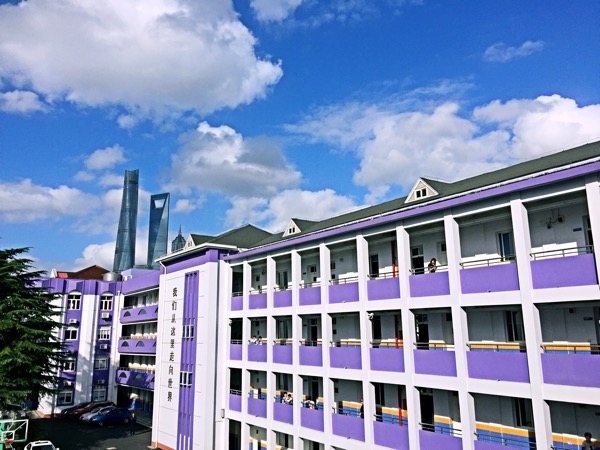 小升初攻略》一本(仅限20个名额)_2017上海小