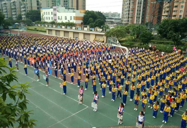 【我的小学】真光中英文小学_2017广州小升初