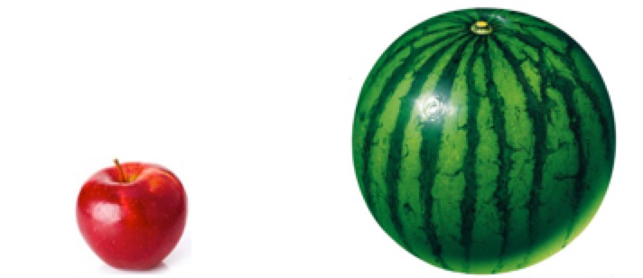 摩比思维秘籍-如何比较多个物体的轻重大小