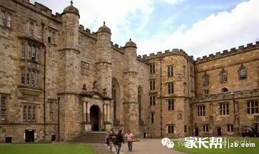 德固特：2025年营收同比增长736%棋牌游戏官方网站- 哈希游戏试玩平台畅享娱乐