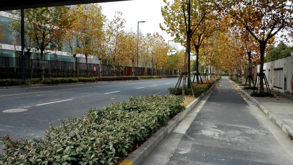 (实地探访组图)交大附中嘉定分校_2017上海中