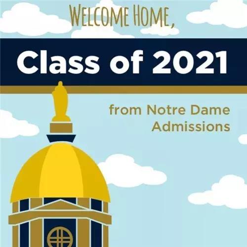 哈佛录取率再下降,哥大申请人数逆天!又一波热