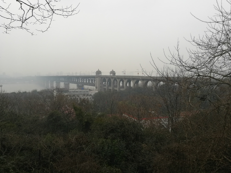 大年初二,早起去爬山_黄鹤楼茶馆-武汉家长帮