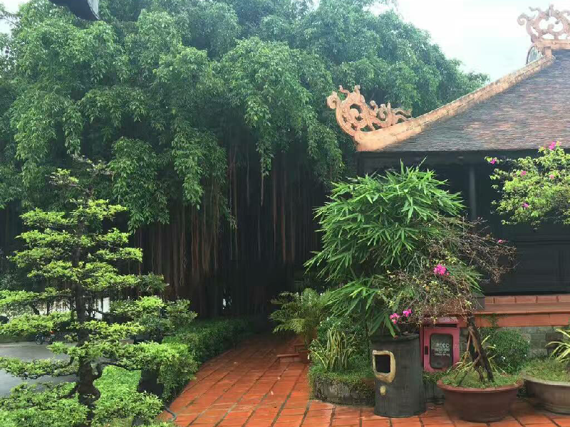 【鸡祥过大年6】外出玩耍,晒娃赢大礼! - 第4页