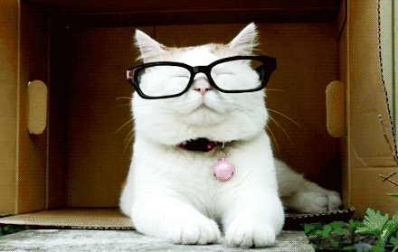 龙华录取线出炉!爸妈们来这里报喜吧!提供积分