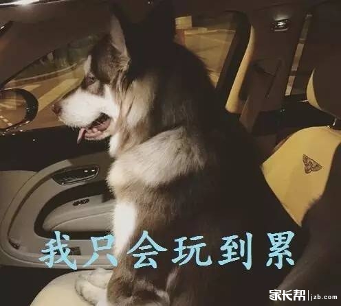 等考上大学你就可以轻松了.呵呵呵!