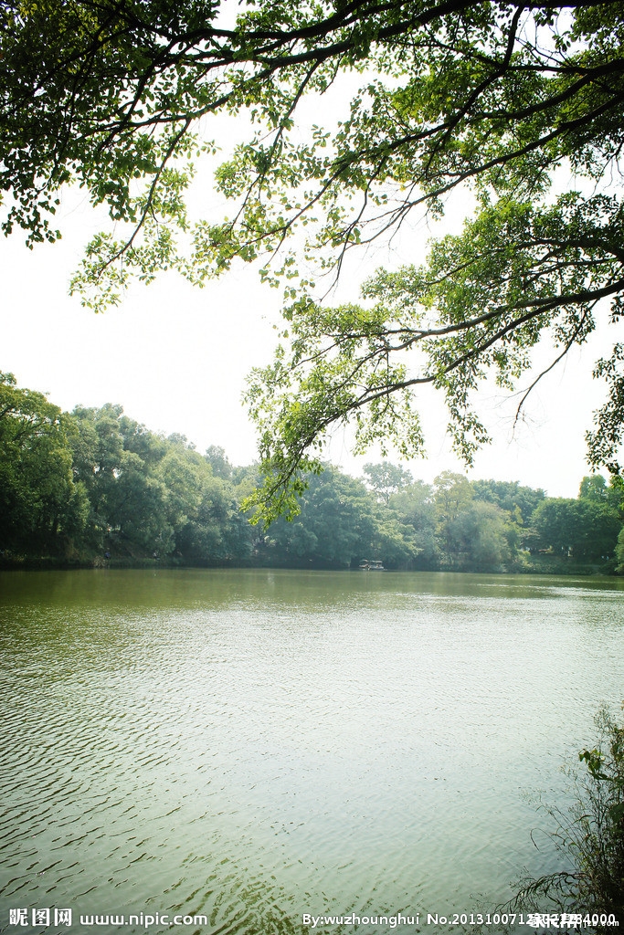 本科与专科,重本与普通本科的区别在哪里 ?_湖