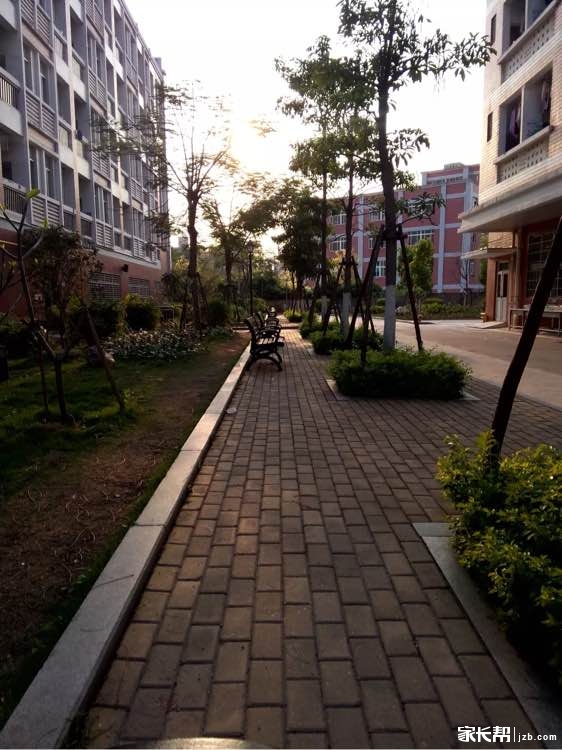 目标高中详解--厦门市灌口中学高中部(厦门一中