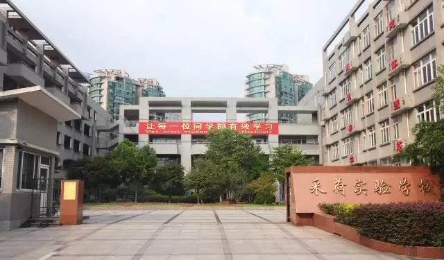 2018中考采实再创新高