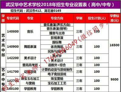 探索武术中专：传承与创新之间的奇妙之旅