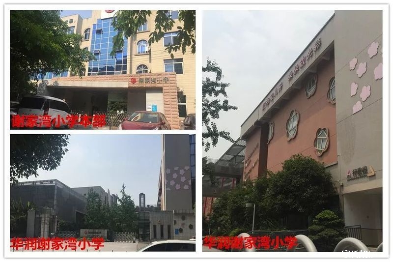 重庆九龙坡区小学排名(2)