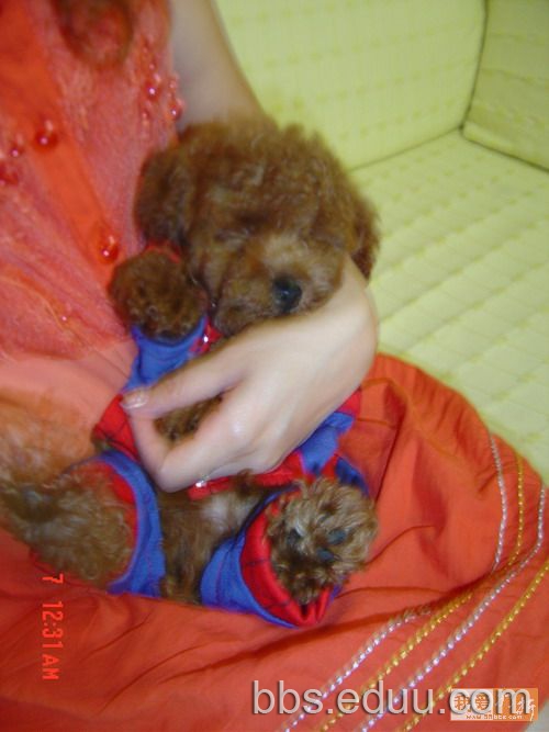 描写小动物乖巧,警觉,驯良的片段_生物学_奇飞