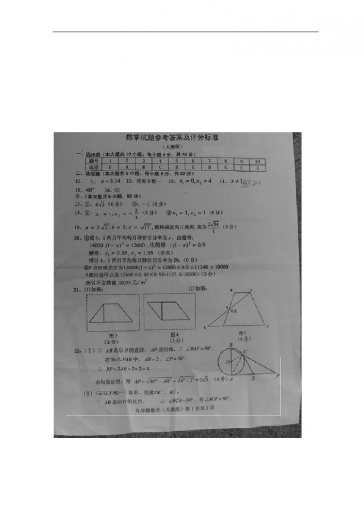 �����꼶��һѧ�����в����⣺���꼶��ѧ1