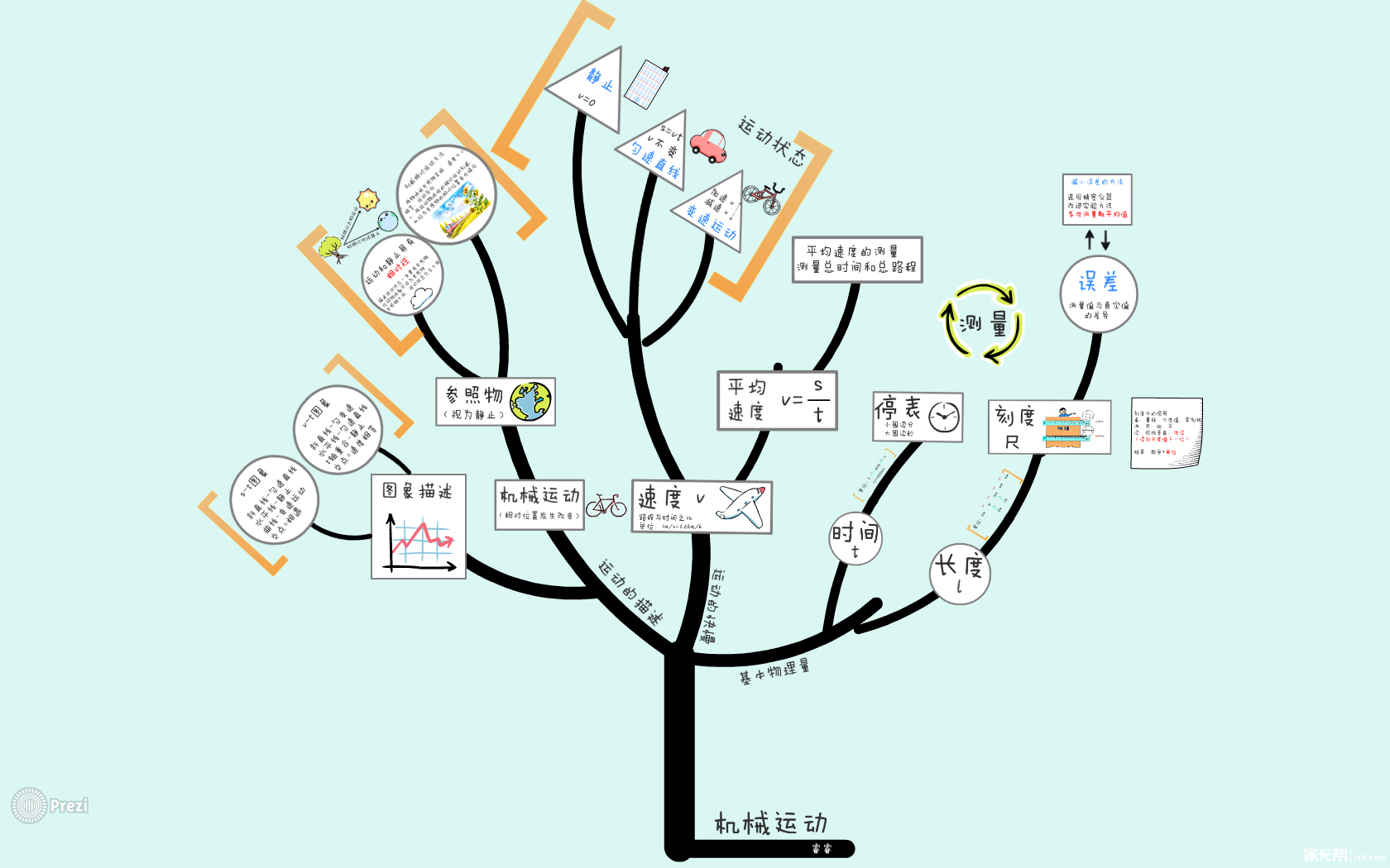 记忆中的树作文