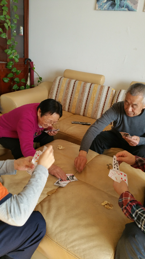 过年七天乐打扑克