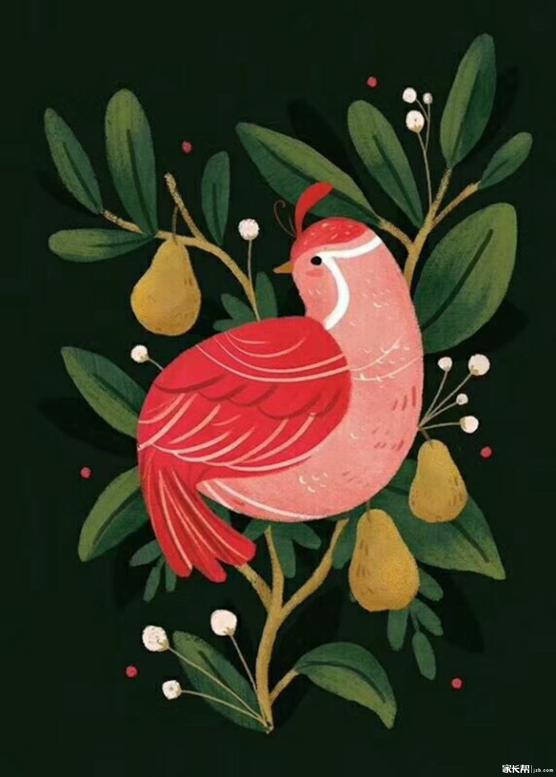 【插画鉴赏】来自美国插画师的精美世界